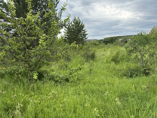 Купить  участок