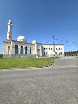 Снять --комнатную квартиру
